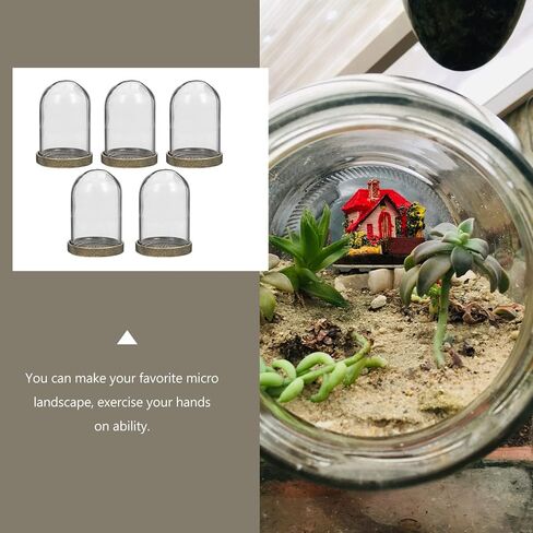 ARTIBETTER Glass Terrarium Dome and Brass Tray Set for DIY Microlandscape Plant Display Miniature Ecological Container Covers for Home Decor and Craft Supplies in Kuwait