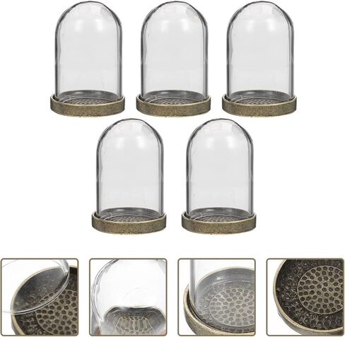 ARTIBETTER Glass Terrarium Dome and Brass Tray Set for DIY Microlandscape Plant Display Miniature Ecological Container Covers for Home Decor and Craft Supplies in Kuwait
