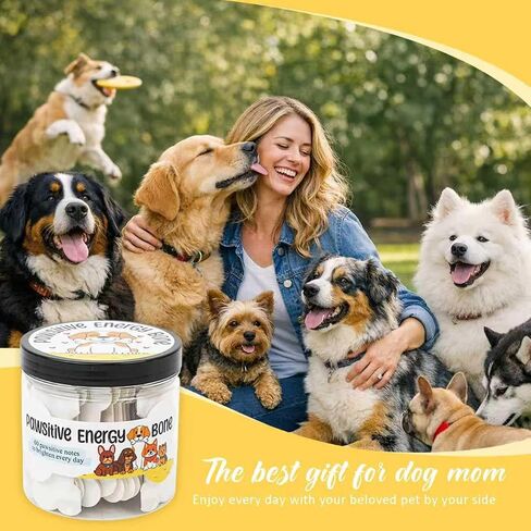 Tian Zhun Dog Mom Gifts for Women Dogs Lovers Best Dog Mom Mothers Day Gifts Merry Christmas Positive Affirmation Jar 60 pcs in Kuwait