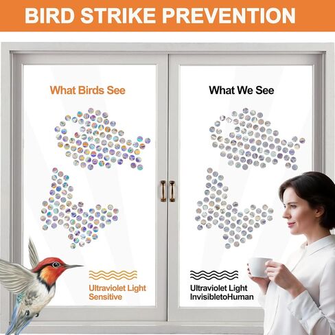 210 PCS Window Clings for Bird Strikes, Suncatcher Stickers Rainbow Window Clings Prevent Birds from Hitting Glass Windows, Anti-Collision Decals (210 Pack Round) in Kuwait
