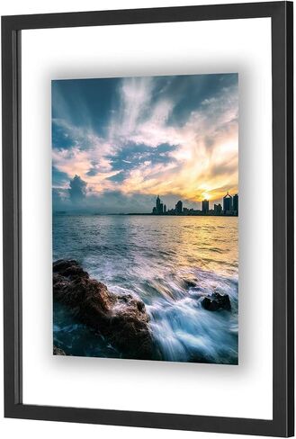 ONE WALL 16x20 Inch Floating Frame, Black Wood Double Glass Float Picture Frame Display 16x20/11x14 Inch Photos or Plant or Petal Specimens for Wall Hanging - Mounting Accessories Included in Saudi Arabia