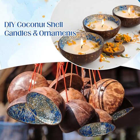 LemonRoad 4 Pcs Decorative Coconut Bowl Natural Coconut Bowl Circular Handmade Mother of Pearl Inlaid Shell for DIY Craft, Jewelry Storage, Candy, Key, Nuts, Fruits Dry Snack Storage(Classical) in Saudi Arabia