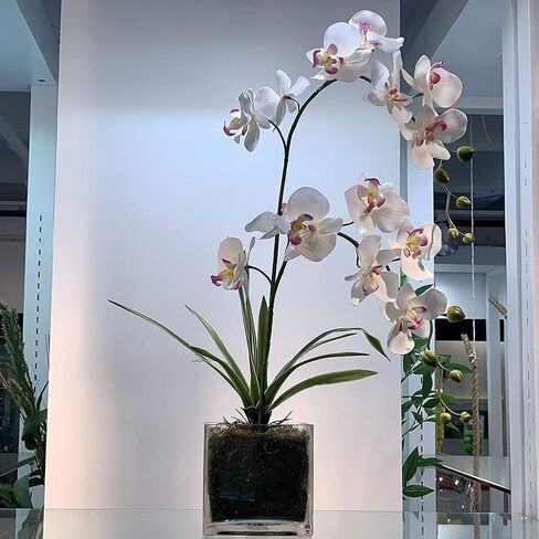 2PCS 3.1inchX3.1inch Candle Holder Clear Square Glass Vase Decorative Centerpiece Floral Accent Container for Wedding, Birthday, Holiday and Home Decoration in Kuwait