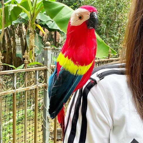 11.8" Pirate Parrot on Shoulder Foam Feather Parrot Macaw Birds for Decoration Costume Shoulder Ornament Modern Home Garden Party Decor (Red) in Saudi Arabia