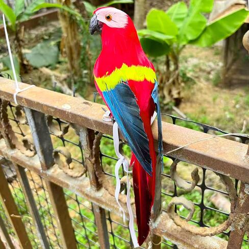 11.8" Pirate Parrot on Shoulder Foam Feather Parrot Macaw Birds for Decoration Costume Shoulder Ornament Modern Home Garden Party Decor (Red) in Saudi Arabia