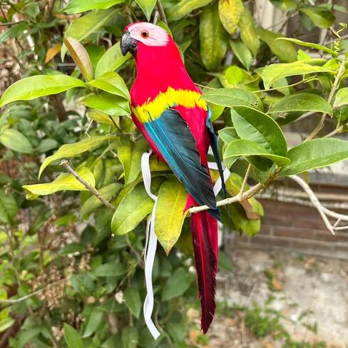 11.8" Pirate Parrot on Shoulder Foam Feather Parrot Macaw Birds for Decoration Costume Shoulder Ornament Modern Home Garden Party Decor (Red) in Saudi Arabia