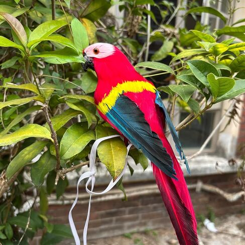 11.8" Pirate Parrot on Shoulder Foam Feather Parrot Macaw Birds for Decoration Costume Shoulder Ornament Modern Home Garden Party Decor (Red) in Saudi Arabia