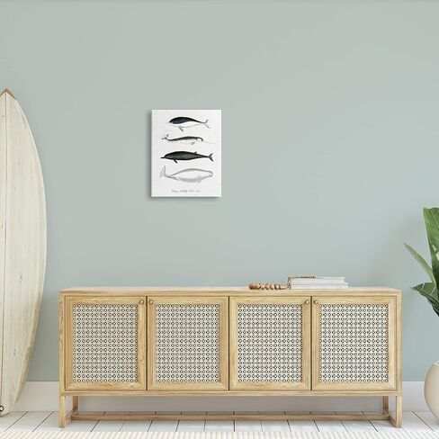 Stupell Industries Nautical Sea Life Whales Narwhal Marine Drawings, Design by Lettered and Lined in Kuwait