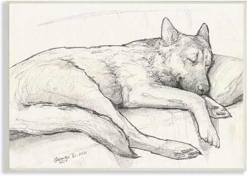 Stupell Industries Dog Curled Up Resting Detailed Graphite Pencil Drawing, Design by George Dyachenko in Saudi Arabia