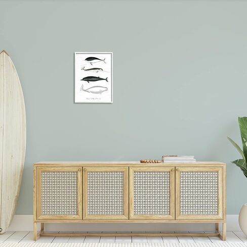 Stupell Industries Nautical Sea Life Whales Narwhal Marine Drawings, Design by Lettered and Lined in Kuwait