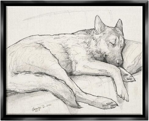 Stupell Industries Dog Curled Up Resting Detailed Graphite Pencil Drawing, Design by George Dyachenko in Kuwait