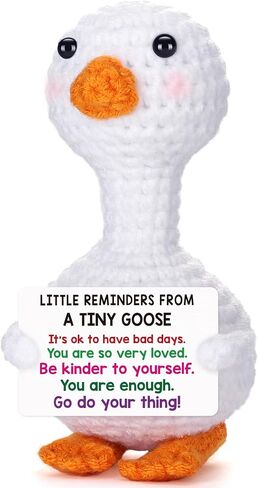 Positive Goose Teen Girl Gifts Trendy Stuff Birthday Back to School Gifts for Students Girls Appreciation Gift for Nurse Teacher Stress Relief Gift for Coworker Friend, Cute Cheer Support Goose Decor in Saudi Arabia