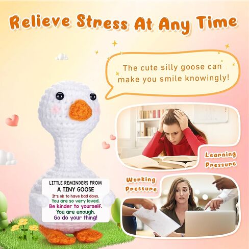 Positive Goose Teen Girl Gifts Trendy Stuff Birthday Back to School Gifts for Students Girls Appreciation Gift for Nurse Teacher Stress Relief Gift for Coworker Friend, Cute Cheer Support Goose Decor in Saudi Arabia