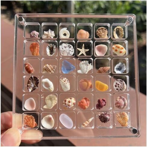 2 Pieces Mini Shell Display Box,Seashell Display Box,Acrylic Boxes for Display,Small Shells for Crafts Display Case,Shadow Boxes Display Cases for Seashell Starfish,Bead,Nail,Trinket (36 Grid) in Saudi Arabia