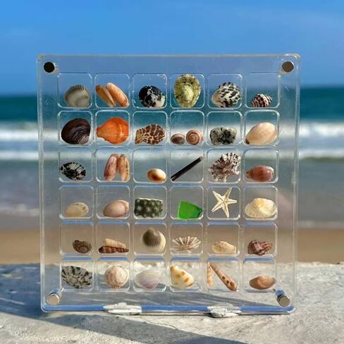 2 Pieces Mini Shell Display Box,Seashell Display Box,Acrylic Boxes for Display,Small Shells for Crafts Display Case,Shadow Boxes Display Cases for Seashell Starfish,Bead,Nail,Trinket (36 Grid) in Saudi Arabia