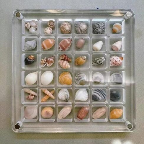 2 Pieces Mini Shell Display Box,Seashell Display Box,Acrylic Boxes for Display,Small Shells for Crafts Display Case,Shadow Boxes Display Cases for Seashell Starfish,Bead,Nail,Trinket (36 Grid) in Saudi Arabia