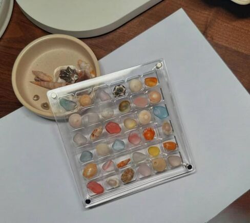 2 Pieces Mini Shell Display Box,Seashell Display Box,Acrylic Boxes for Display,Small Shells for Crafts Display Case,Shadow Boxes Display Cases for Seashell Starfish,Bead,Nail,Trinket (36 Grid) in Saudi Arabia