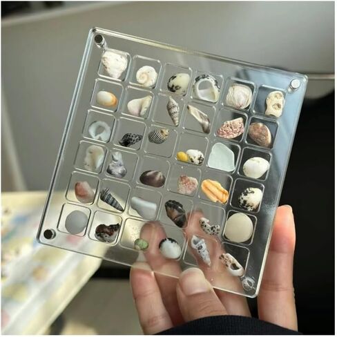 2 Pieces Mini Shell Display Box,Seashell Display Box,Acrylic Boxes for Display,Small Shells for Crafts Display Case,Shadow Boxes Display Cases for Seashell Starfish,Bead,Nail,Trinket (36 Grid) in Saudi Arabia