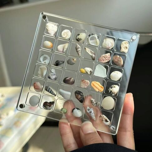 2 Pieces Mini Shell Display Box,Seashell Display Box,Acrylic Boxes for Display,Small Shells for Crafts Display Case,Shadow Boxes Display Cases for Seashell Starfish,Bead,Nail,Trinket (36 Grid) in Saudi Arabia