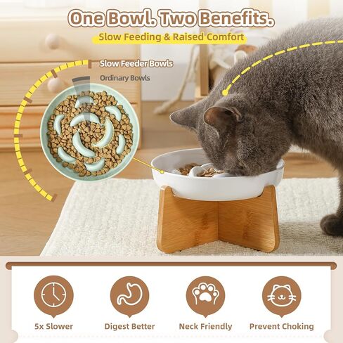 Elevated Slow Feeder Cat Bowl - Ceramic Cat Food Dish with Metal Stand, Anti-Slip - Pastel Series Slow Feeding Plate - 7 OZ - Ivory White in Saudi Arabia