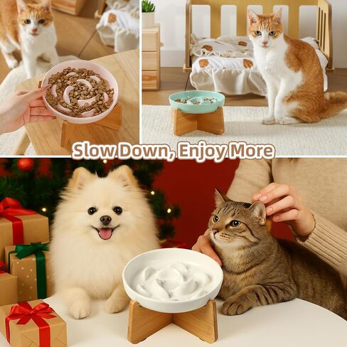 Elevated Slow Feeder Cat Bowl - Ceramic Cat Food Dish with Metal Stand, Anti-Slip - Pastel Series Slow Feeding Plate - 7 OZ - Ivory White in Saudi Arabia