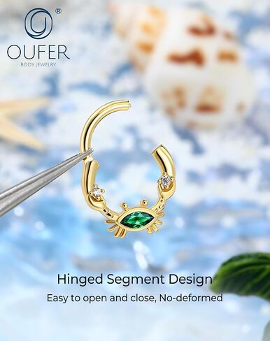 OUFER حلقات حاجز السرطان 16G-مفصلة، ​​مجوهرات ثقب الحاجز الذهبي، أقراط دايث الزمرد اللامعة تشيكوسلوفاكيا، كوكبة هوب هيليكس الغضروف ثقب المجوهرات in Kuwait