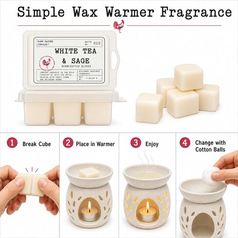 White Tea & Sage - USA Made Soy Wax Melts, 2 Pack, 6 oz | 2 clamshells, 6 oz total, 12 cubes • clean resort spa scent • USA-grown soy wax in Saudi Arabia