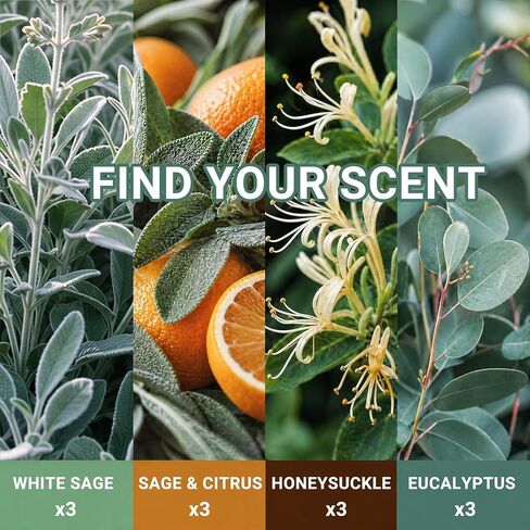 FIRIK Plug in Refills Air Freshener, White Sage, Sage & Citrus, Honeysuckle, Eucalyptus, for Home and Bathroom 7.92 Fl Oz 12 Count, Compatible with Air Wick & Glade, Not Include Glade Plus in Saudi Arabia