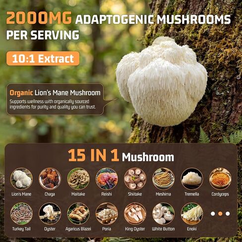 Nature Echo 15-in-1 Mushroom Coffee Powder - 2000mg Blend with Organic Lion’s Mane, Ashwagandha & L-Theanine - Supports Focus, Clarity & Calm Energy - Vegan Coffee Alternative, 30 Servings in Saudi Arabia