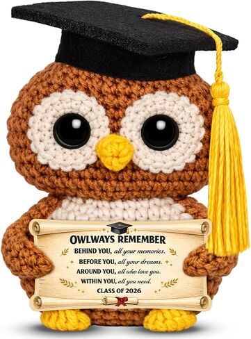 Graduation 2026 Gifts for Women Her College High School Graduation Class of 2026 Gifts for Him Her Positive Crochet Owl Gift for Women Men Graduation Gift Ideas Easter Basket Stuffers for Graduate in Kuwait