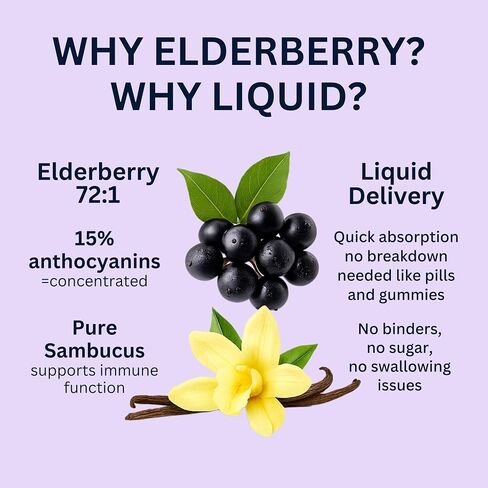 Think Above Elderberry Liquid Drops, 600mg, 2 Fl Oz, Pure Sambucus Extract with Vanilla, Vegan Immune Support Supplement, (Pack of 2) in Saudi Arabia
