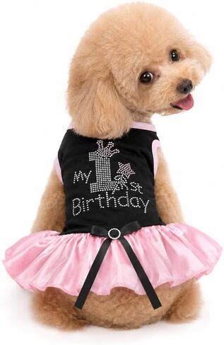 Petitebella Pink Rhinestones My 1st Birthday Puppy Dog Dress (White/Rainbow, Medium) in Kuwait