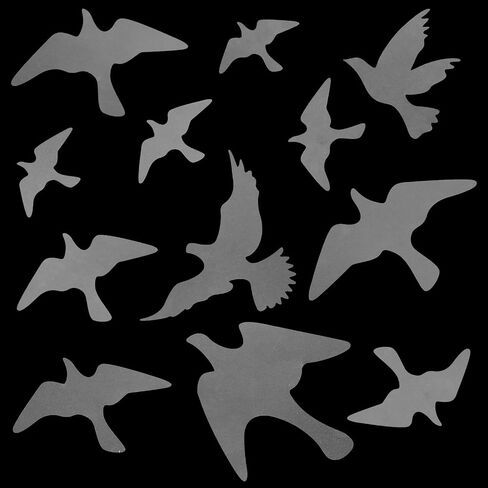 12 Pcs Anti-Collision Window Bird Stickers Decals Anti-Collision Window Stickers for Birds,Glass Door Protect and Prevent Bird Strikes (Clear) in Saudi Arabia