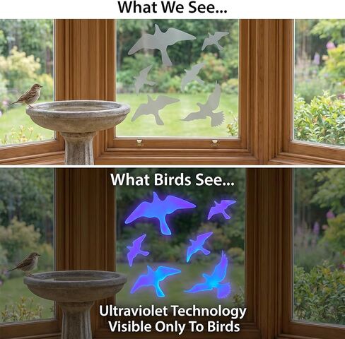 12 Pcs Anti-Collision Window Bird Stickers Decals Anti-Collision Window Stickers for Birds,Glass Door Protect and Prevent Bird Strikes (Clear) in Saudi Arabia