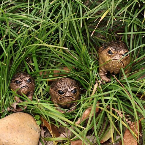 MOLMH 3-Pack Weird Frog Statue Set - Large, Medium, Small Sizes - Queer Grumpy Ugly Angry Toad Sculpture for Outdoor Garden Yard, Fun Novelty Home Office Decor, Unique Gift in Saudi Arabia