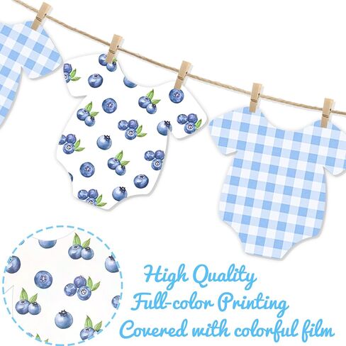 Blueberry Themed Baby Shower Bunting Banners Blue Checkered Onesie Garland with Wooden Clips for Berry First Birthday, Sweet One Boy Party Decorations in Saudi Arabia
