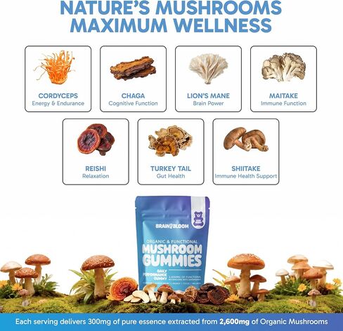 Mushroom Gummies for Focus & Energy – Lion’s Mane, Reishi, Chaga & Cordyceps + Ashwagandha – 2600mg 10:1 Extract – Fruiting Body – Daily Performance Supplement – 60 Count in Kuwait