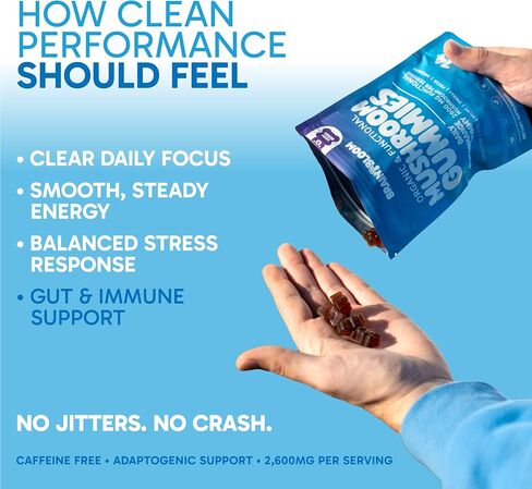 Mushroom Gummies for Focus & Energy – Lion’s Mane, Reishi, Chaga & Cordyceps + Ashwagandha – 2600mg 10:1 Extract – Fruiting Body – Daily Performance Supplement – 60 Count in Kuwait