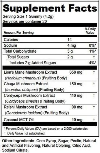 Shrumfuzed Mushroom Gummies | Nootropic Mushroom Supplement with Lion's Mane, Reishi, Cordyceps & Chaga | 20 Count, Summer Peach in Saudi Arabia