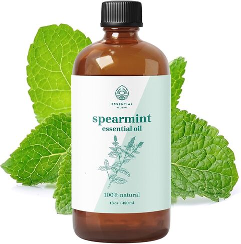 Spearmint Essential Oil by Essential Delights | Cool and Refreshing Aroma for Diffusing| for Aromatherapy, Soaps, & Candles | Vegan & Cruelty Free| (16 Fl.Oz.) in Saudi Arabia