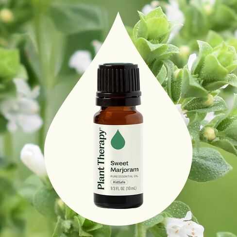 زيت البردقوش العطري الحلو من بلانت ثيرابي 10 مل (1/3 أونصة) نقي 100%، غير مخفف، علاج عطري مهدئ لدعم الجهاز الهضمي والتهاب العضلات in Kuwait