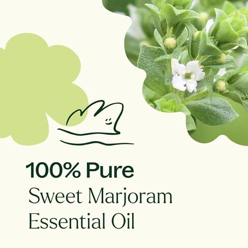 زيت البردقوش العطري الحلو من بلانت ثيرابي 10 مل (1/3 أونصة) نقي 100%، غير مخفف، علاج عطري مهدئ لدعم الجهاز الهضمي والتهاب العضلات in Kuwait