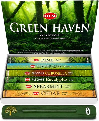 Hem Incense Sticks Assorted Money Pack (6 Incents x 20 Insense Sticks) Incense Stick Holder 120 Sticks Total | Call Money Attract Money Good Luck Gold Rain Silver Rain Good Fortune in Saudi Arabia