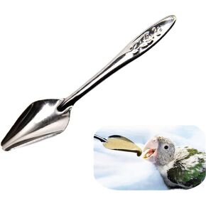 10 PCS Bird Feeder Spoons Stainless Steel Milk Medicine Parrot Feeding Scoops Hand Feeding Spoons for Peony Cockatiel Parrot