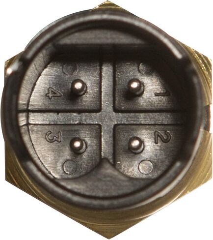 Delphi TS10258 Engine Coolant Temperature Sensor in Saudi Arabia