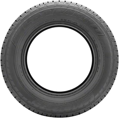 Falken Wildpeak H/T - 215/65R17 99S All Season Touring Tire in Saudi Arabia