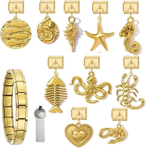 Gold Italian Charm Bracelet for Women, DIY Handmade with Starter Brascelet, Assorted Charms and Opening Tools, 9mm Modular Italian Bracelet Links Jewelry in Saudi Arabia