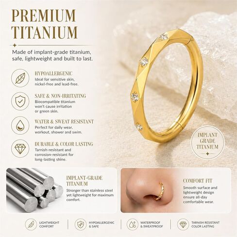 2Pcs 16G Titanium Nose Ring Hoop Clicker for Women Men, CZ Diamond Paved Nose Rings Hoop, Hinged Segment Septum Cartilage Earrings, Small Hoop 8mm, Hypoallergenic in Saudi Arabia