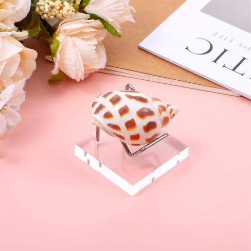8 Pcs Crystal Display Stands, 2x2 Inch Acrylic and Metal Rock Display Holder, Clear Base with Silver Arms for Minerals, Geodes, Fossils, Agate, Coral, and Collectibles in Kuwait