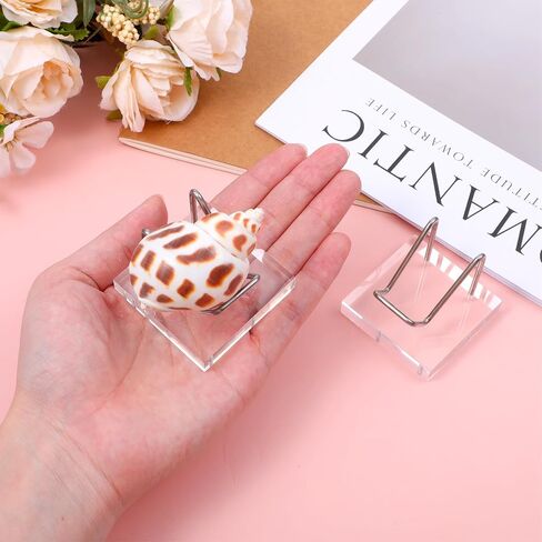 8 Pcs Crystal Display Stands, 2x2 Inch Acrylic and Metal Rock Display Holder, Clear Base with Silver Arms for Minerals, Geodes, Fossils, Agate, Coral, and Collectibles in Kuwait